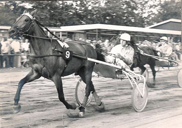 Pannepieta 26-6-76.jpg