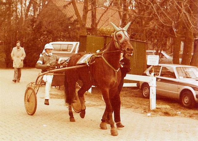 Nera Hanover 01.jpg
