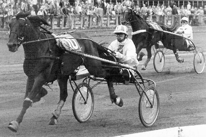 Nescio 12-8-78.jpg