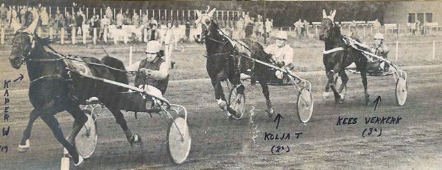 Kaper W Pd4Jar (2).jpg