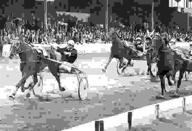 Olympia Hanover MImming.jpg