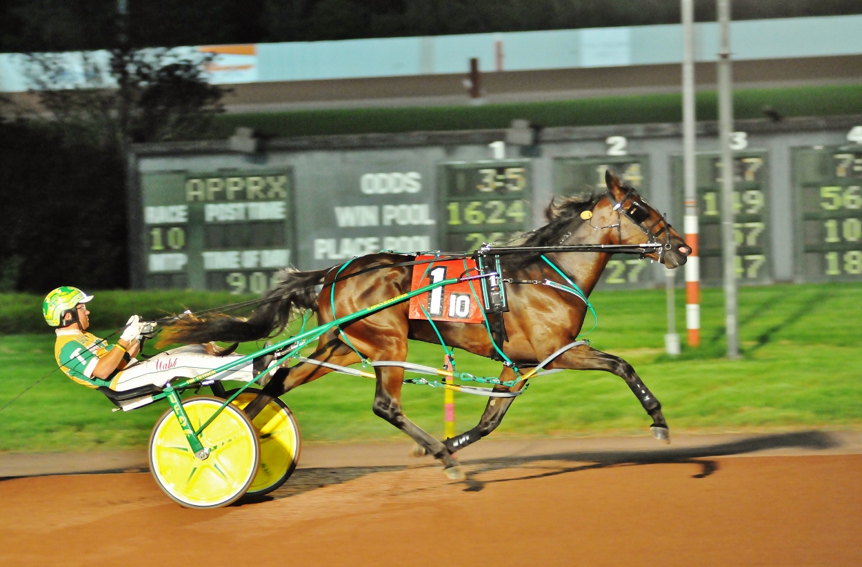 Curtis-Salonick-photo-Lyons-Legend-PCD-SUN-071623.jpg