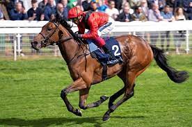 download - 2023-08-31T110321.537.jpg