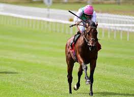 download - 2023-08-31T110431.251.jpg