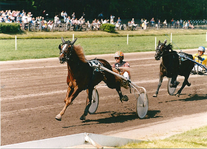 Kosmos Groenhof AEV Sprint 3j serie.jpg