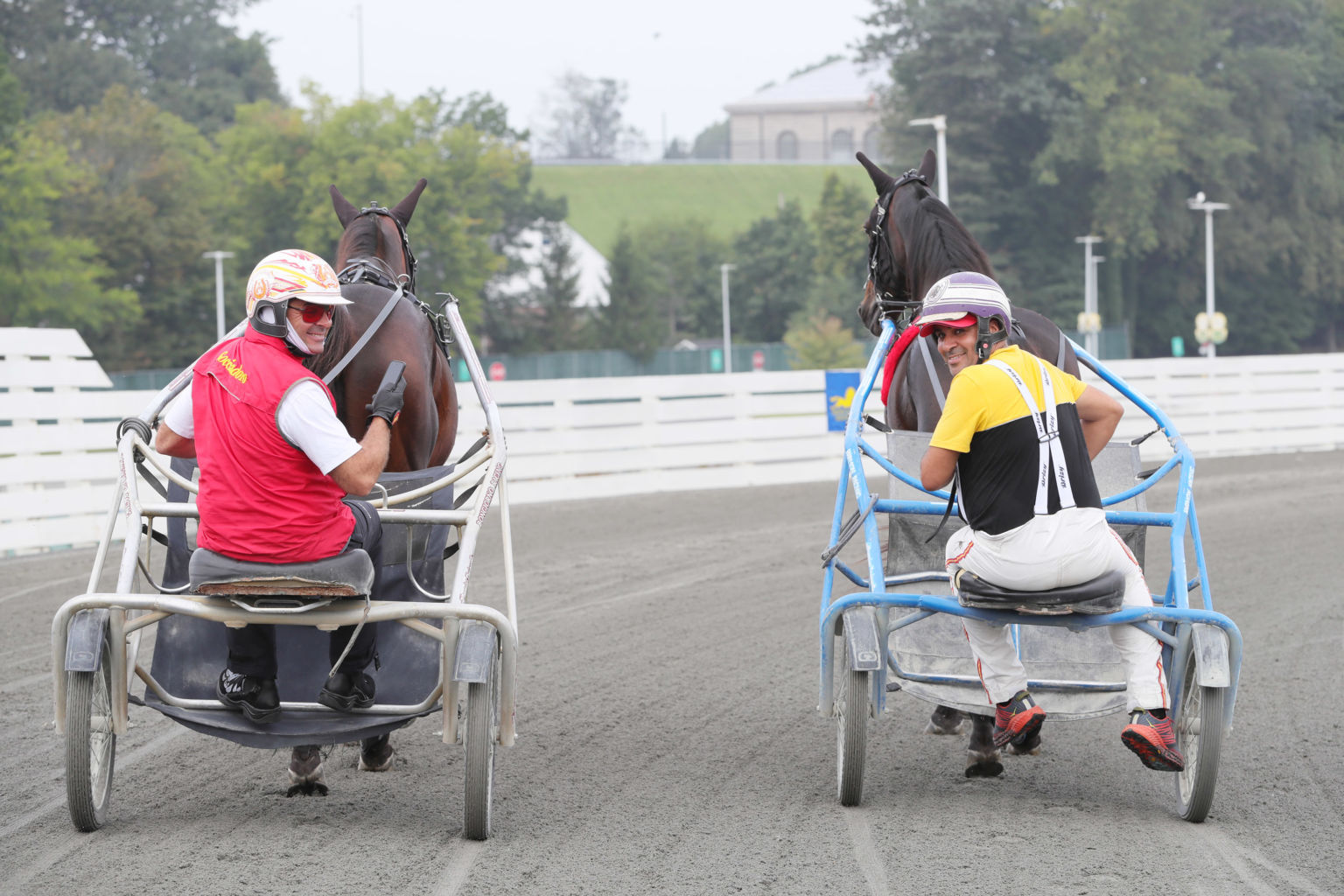 Vivid-Wise-As-1-1536x1024 (3).jpg