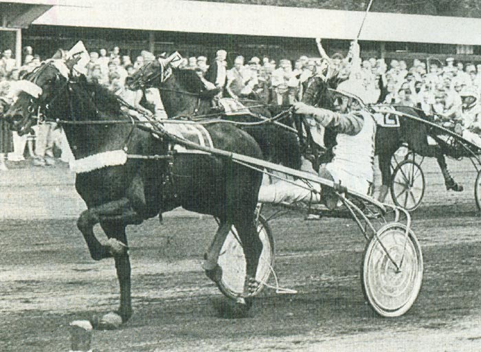 Zilver Prince (2).jpg