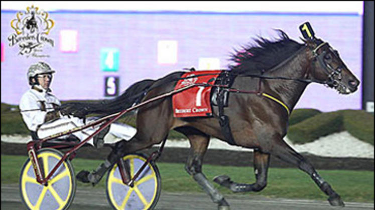 Muscle-Hill-2009-Breeders-Crown-370px.jpg