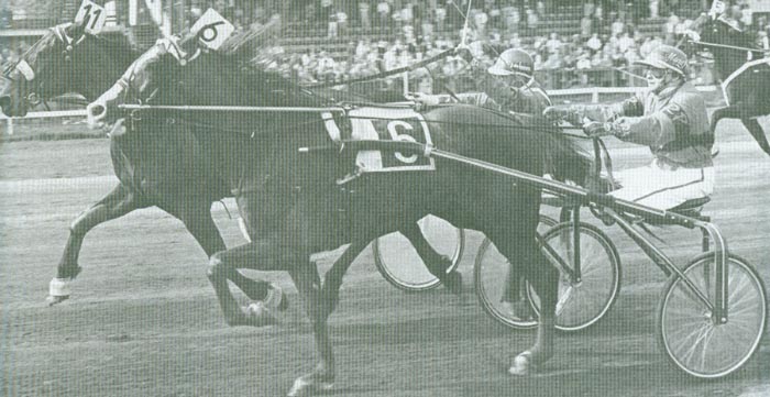 Star of Goldstar Wanda Pluto.jpg