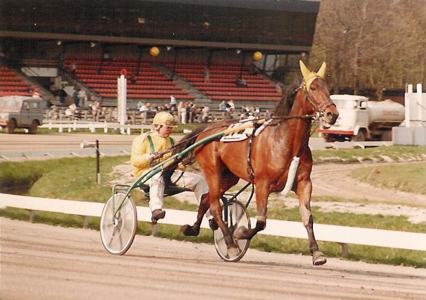 Star of Goldstar 01.jpg