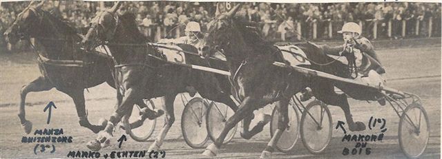 Makore du Bois Derby proef.jpg