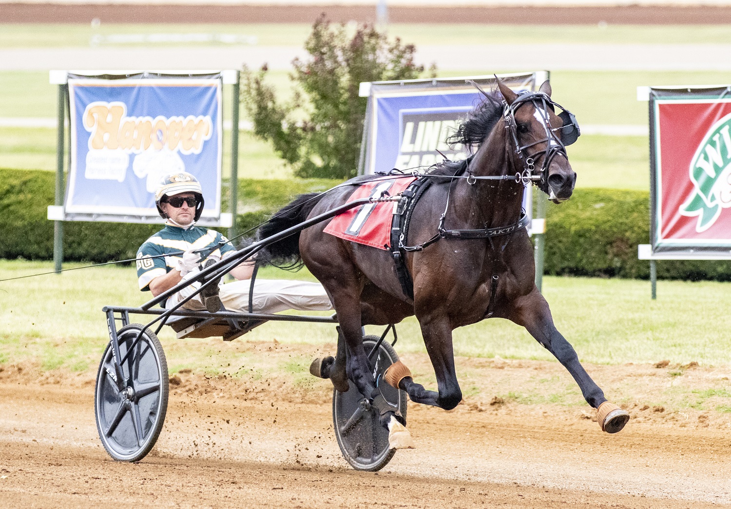 9-17-23-Karl-Yannick-Gingras-Amanda-Stephens-Photo.jpg