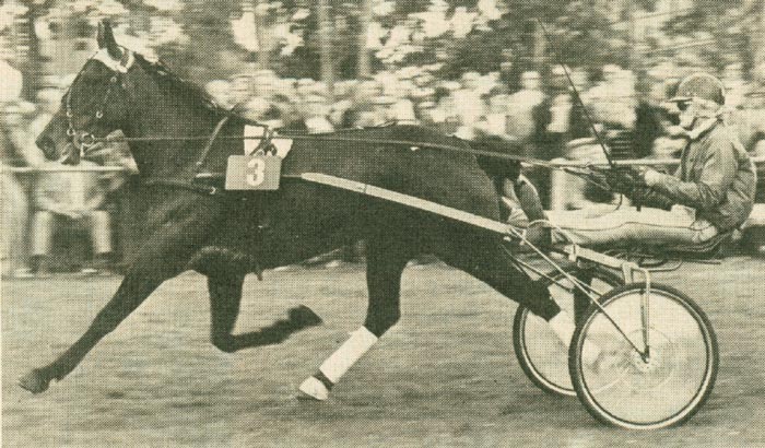 Lely Rodney.jpg