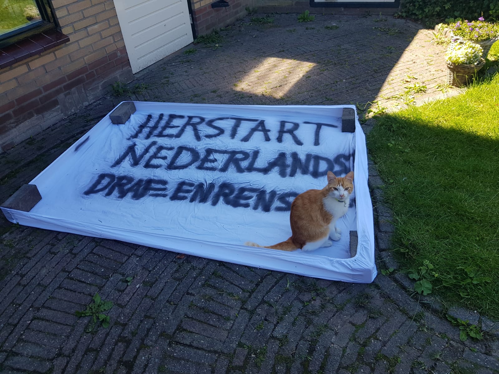 Spandoek.jpg