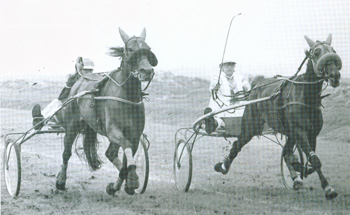 Regina Hanover Kb Venh 1979 (1).jpg
