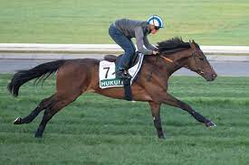 download - 2023-09-25T161450.699.jpg