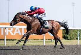 download - 2023-09-25T161619.119.jpg