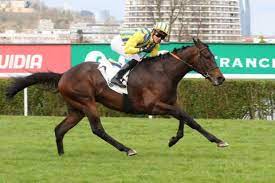 download - 2023-09-25T161822.946.jpg