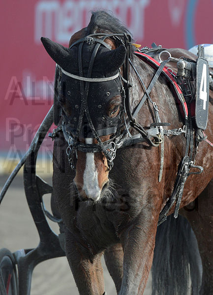 Cittra Vendil huvud 2.t64130f43.m600.w.4salnwmark2.png.x7rhKHlXO.jpg