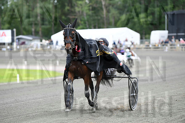 Donnafugata Font segerdef 6.t64bdf956.m600.w.4salnwmark2.png.x9Q5tAqEG.jpg