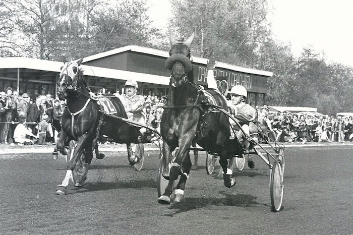 Jos N 4-5-78 (1).jpg