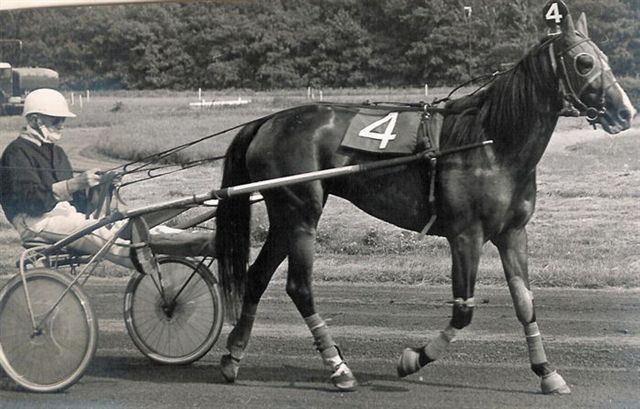 Olympia Hanover voorwerk.jpg