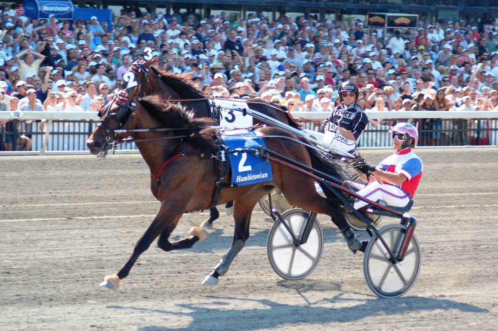 2007+Donato+Hanover+Stretch.jpg