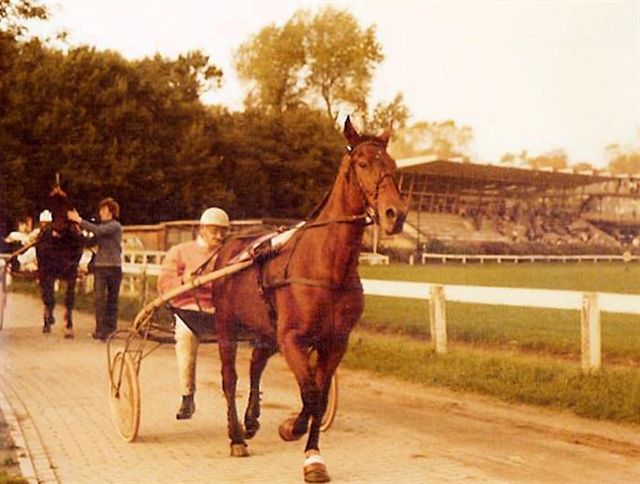 Pedro Casindra 01.jpg