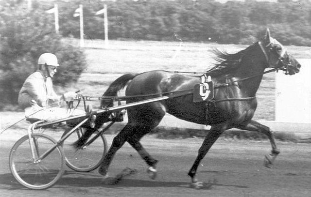 Holgapluto Gerda 3-8-1969.jpg