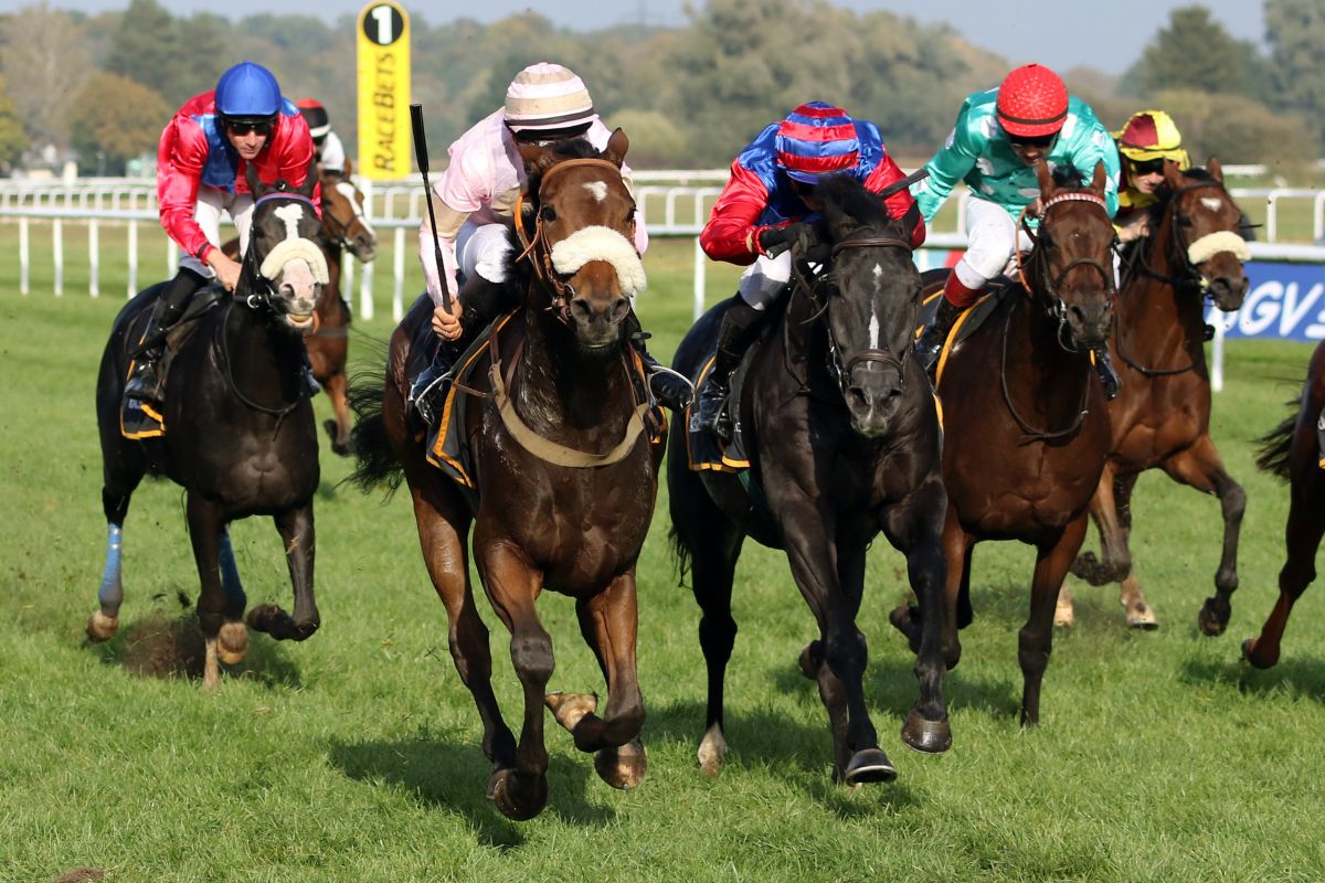 amaranto_gewinnt_mit_maxim_pecheur_rosafarbene_kappe_gewinnt_den_preis_der_partnergemeinden_iffezheim_und_hoppegarten._cgaloppfoto_-_sarah_bauer_0.jpg