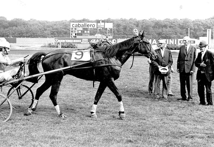 Ireland 19-7-72.jpg