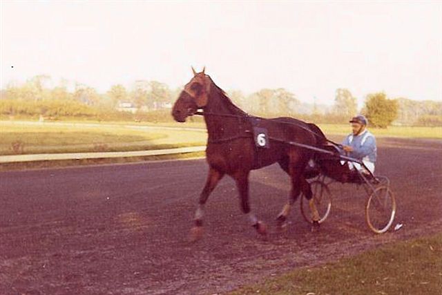 Ido Hanover 01.jpg