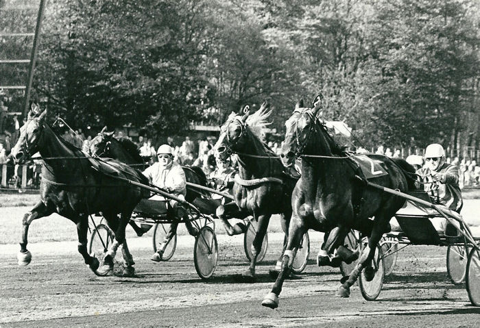 Ido Hanover 16-5-73.jpg