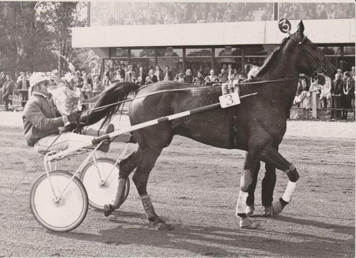 Ido Hanover Mijl Gron 75 e.jpg