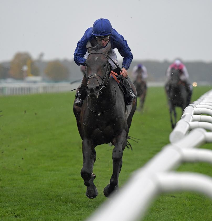 Passion and Glory - 1st - Handicap Stakes - Doncaster, UK - 25 October 2019 - racingfotos_57817124612.jpg