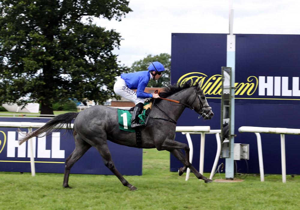 Major Partnership - 1st - Novice - Thirsk - 04 August 2018.jpg