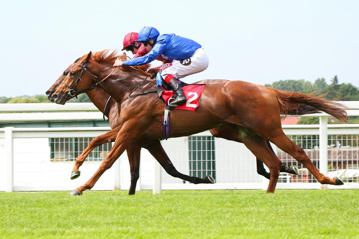 Laser Show - 1st - Novice Stakes - Sandown, UK - 05 July 2019 - racingfotos_55707309887.jpg