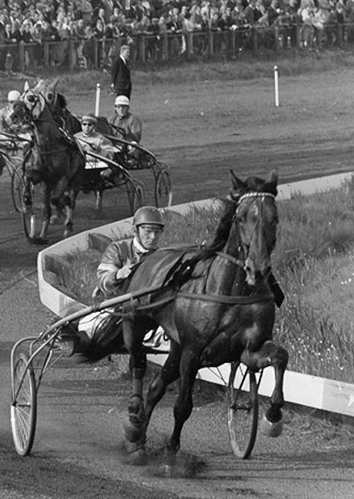 Detra 15-5-66.jpg