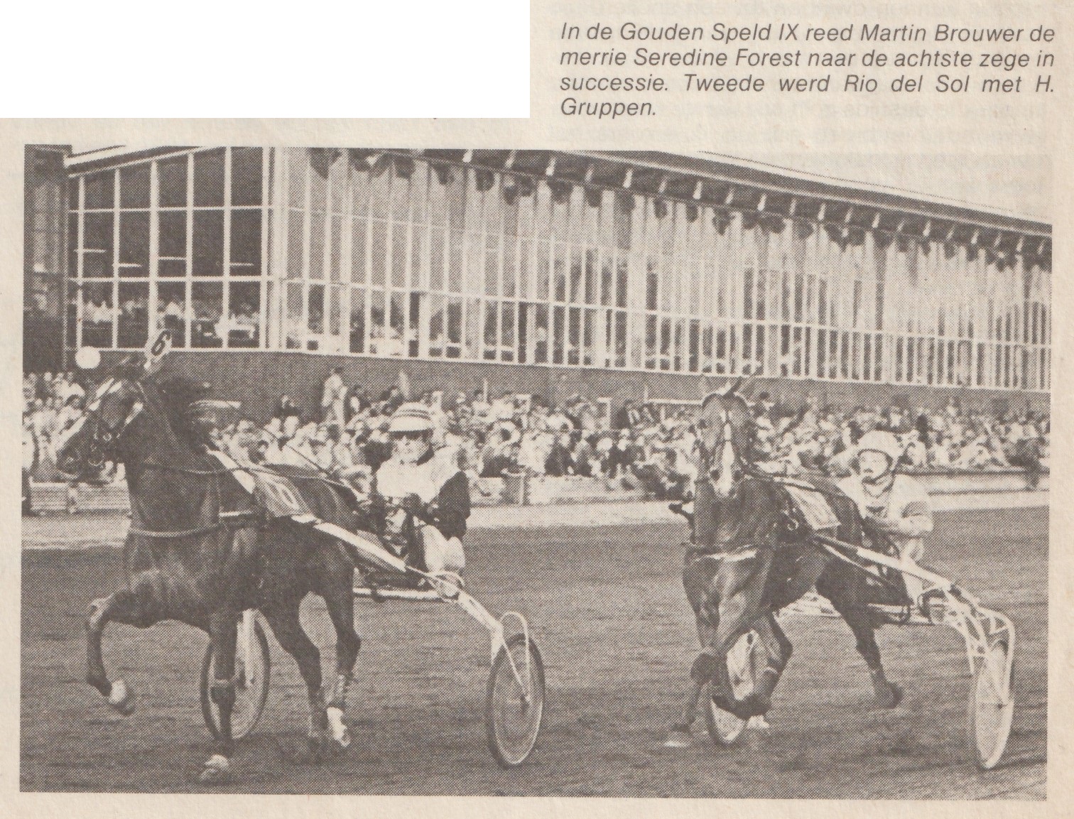 Rio del Sol Henk Gruppen.jpg