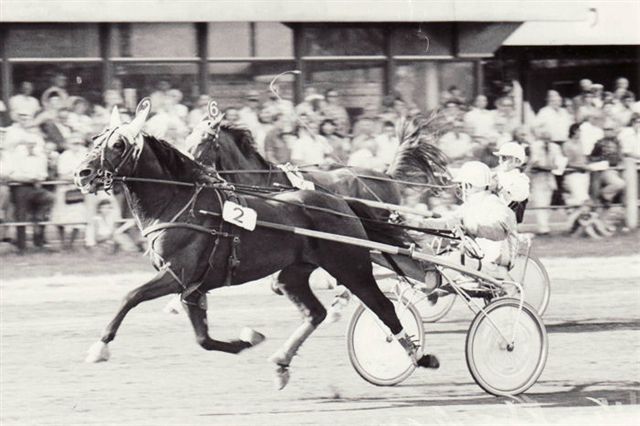 Limbus Hanover Fletcher D.jpg