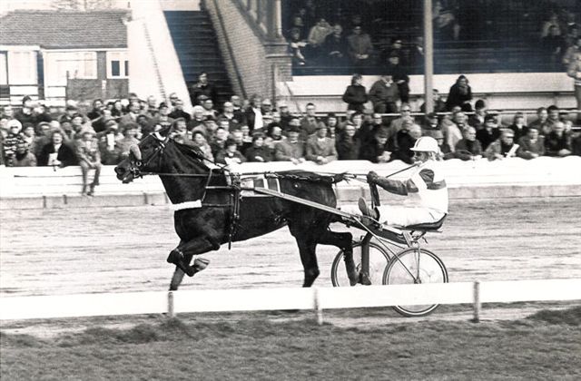 Mexicali Rose 16-4-78.jpg