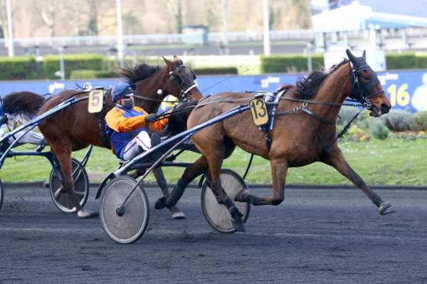 MD_00202637-029-scoopdyga_EMERAUDE_DE_BAIS.jpg