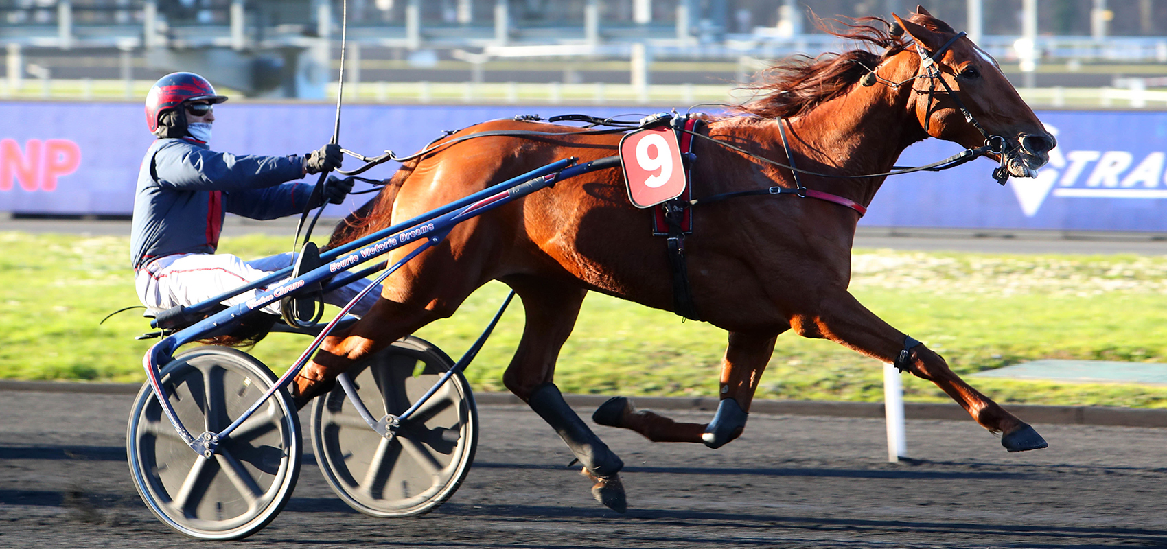 happyvalley-oksite-PARZ-20dec22.jpg