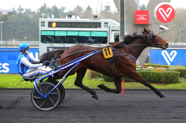 MD_00203881-015-scoopdyga.jpg_FALCO_D_HAVAROCHE.jpg