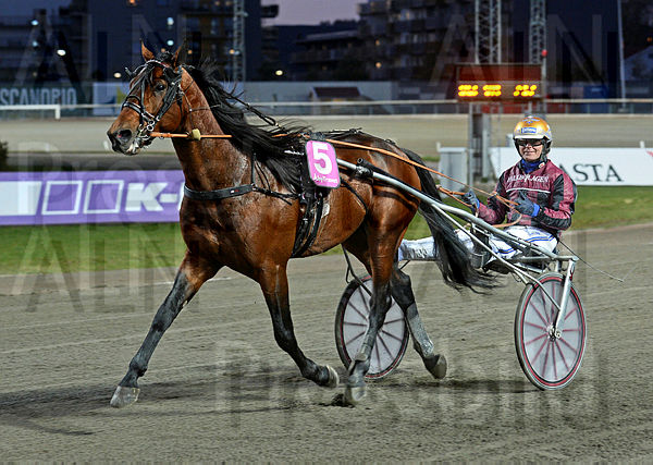 Osterc segerdef 144.t5ebb90f8.m600.w.4salnwmark2.png.xvd5Bovql.jpg