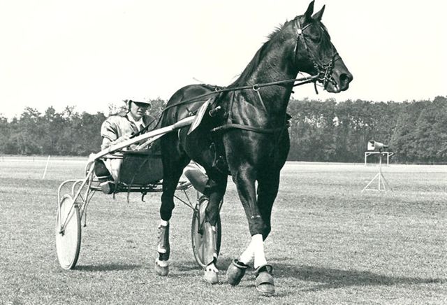 Jewelprise 30-7-1977.jpg