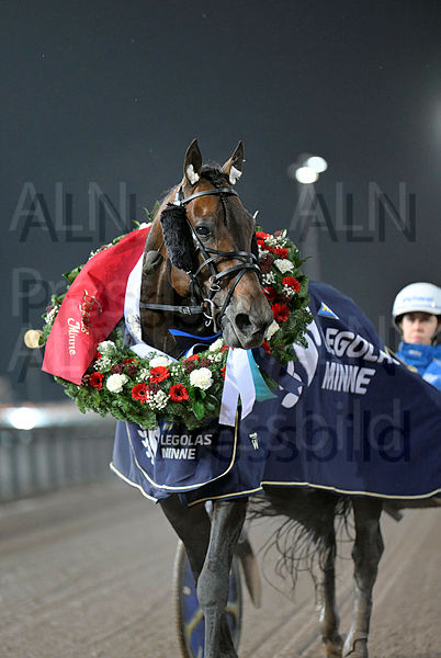 Stoletheshow krans 1.t6574938a.m600.w.4salnwmark2.png.xSZpB_2UB.jpg