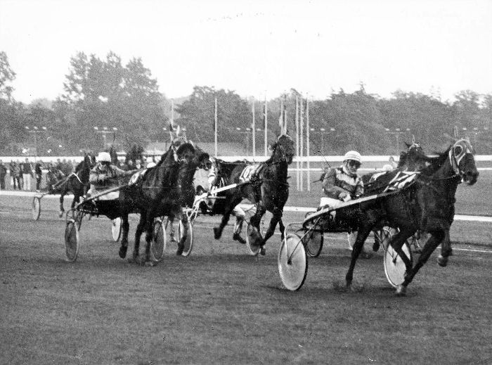 IMG_1781.jpeg