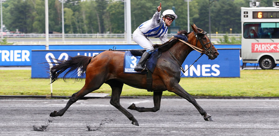 granvillaise_bleue2506.jpg