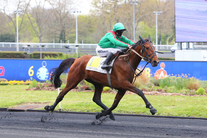 HIRONDELLE-DU-RIB-Vincennes-10_opt.jpg